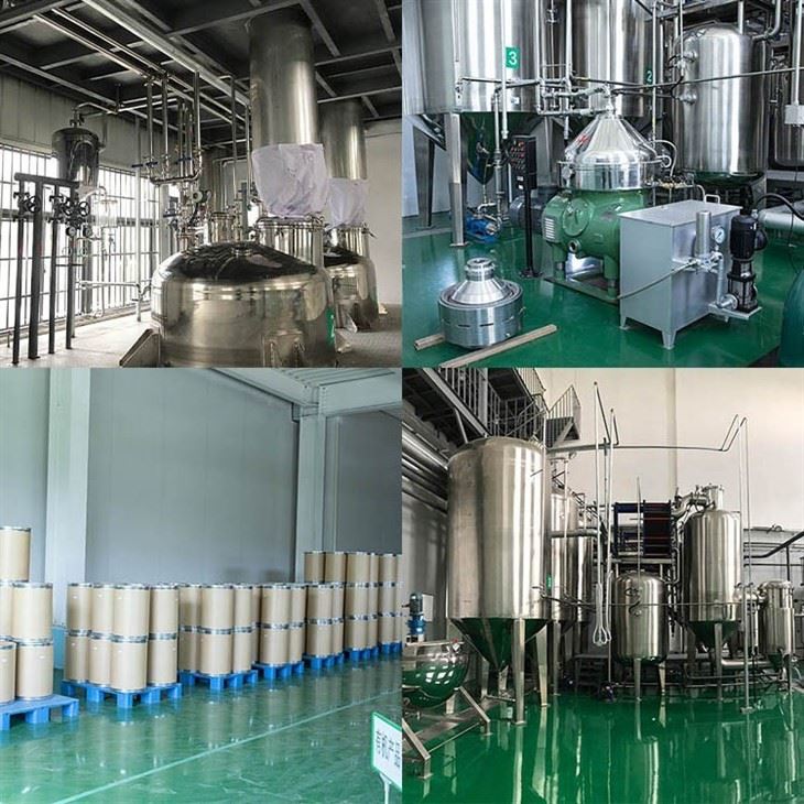 Organic Hawthorn Powder factory